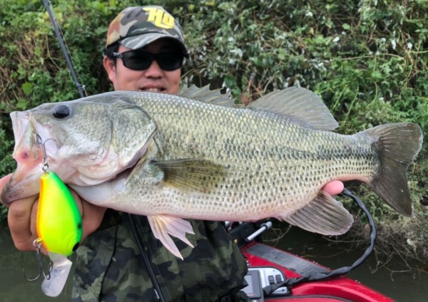 hideup 久次米良信 ブログ写真 2020/10/17