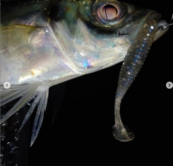 hideup 久次米良信 ブログ写真 2020/10/21