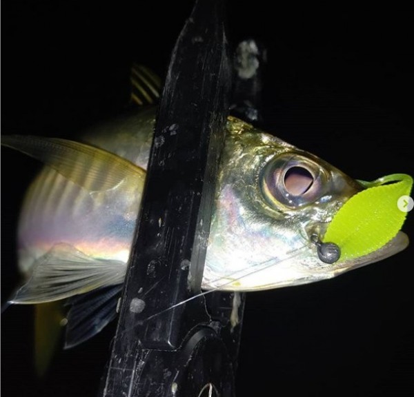 hideup 久次米良信 ブログ写真 2020/10/21