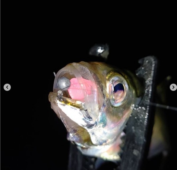 hideup 久次米良信 ブログ写真 2020/10/21