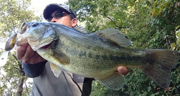 hideup 久次米良信 ブログ写真 2020/11/02