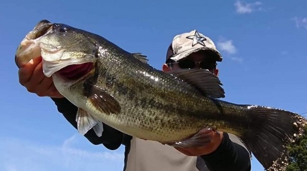 hideup 久次米良信 ブログ写真 2020/11/02