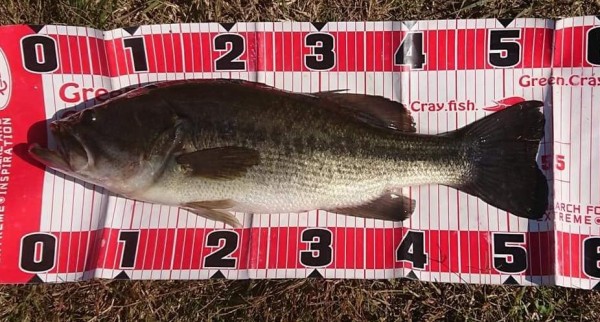 hideup 久次米良信 ブログ写真 2020/11/02