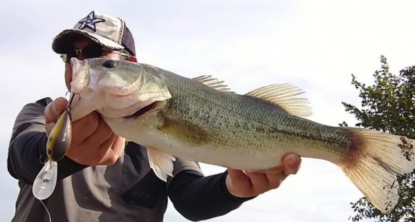 hideup 久次米良信 ブログ写真 2020/11/02