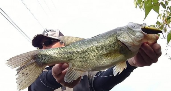 hideup 久次米良信 ブログ写真 2020/11/02