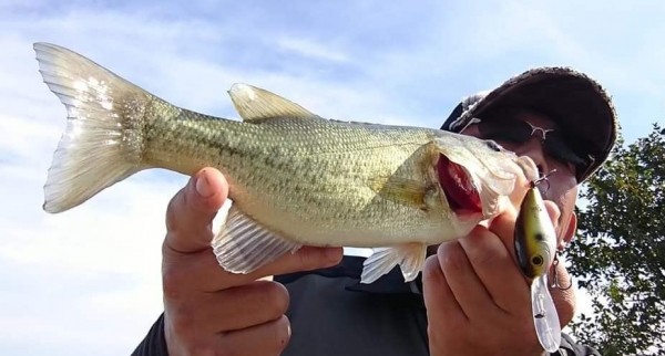 hideup 久次米良信 ブログ写真 2020/11/02