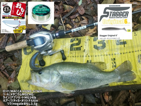 hideup 久次米良信 ブログ写真 2020/11/05