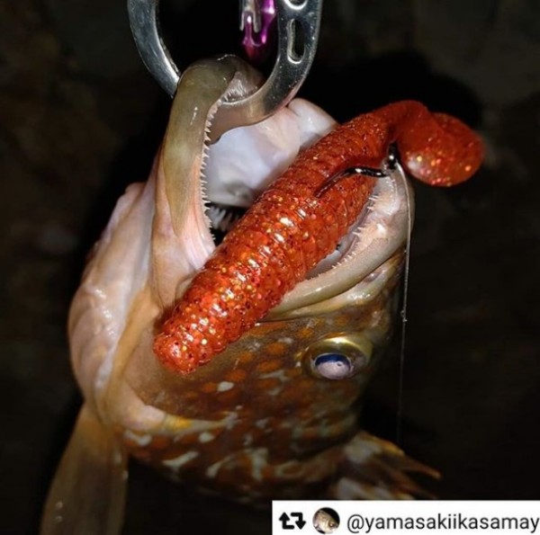 hideup 久次米良信 ブログ写真 2020/11/06