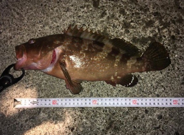 hideup 久次米良信 ブログ写真 2020/11/06