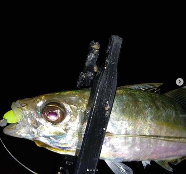 hideup 久次米良信 ブログ写真 2020/11/09