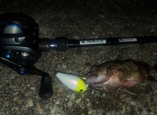 hideup 久次米良信 ブログ写真 2020/11/12