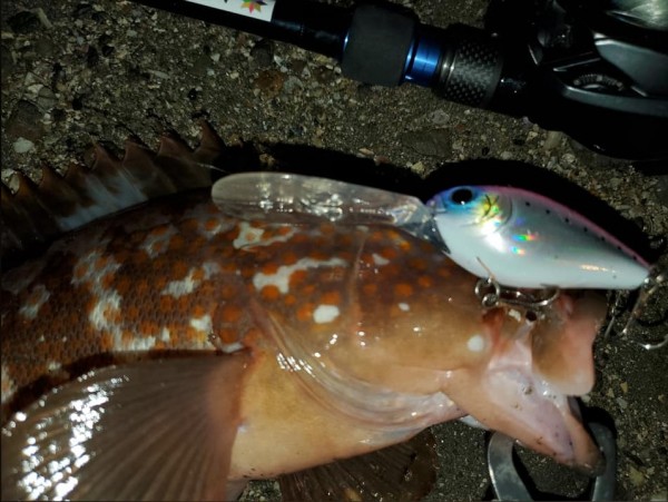 hideup 久次米良信 ブログ写真 2020/12/01