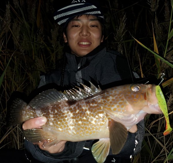 hideup 久次米良信 ブログ写真 2020/12/01