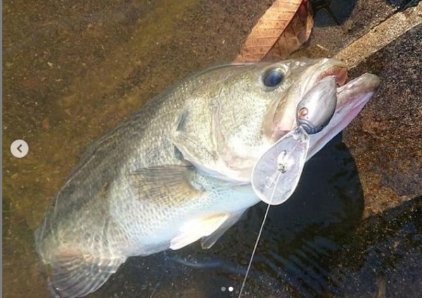 hideup 久次米良信 ブログ写真 2020/12/09