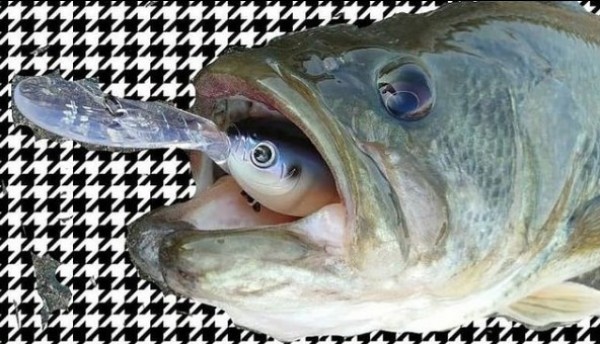 hideup 久次米良信 ブログ写真 2020/12/09