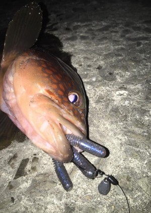 hideup 久次米良信 ブログ写真 2020/12/10