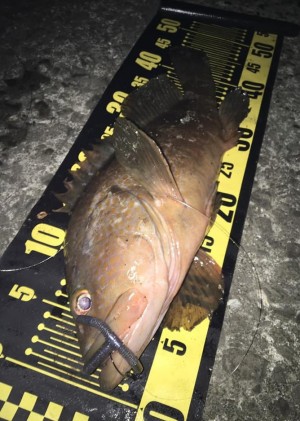 hideup 久次米良信 ブログ写真 2020/12/10