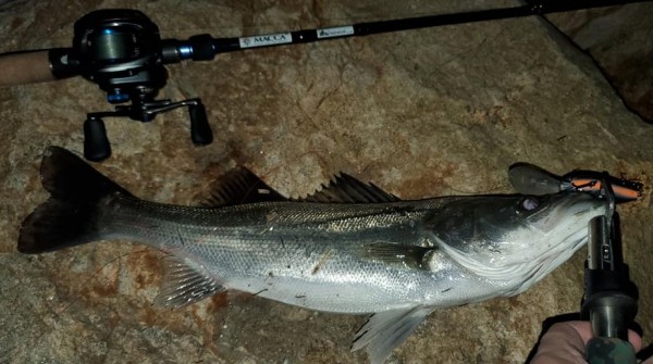 hideup 久次米良信 ブログ写真 2020/12/12