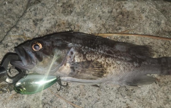 hideup 久次米良信 ブログ写真 2020/12/12