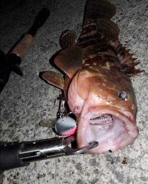 hideup 久次米良信 ブログ写真 2020/12/14