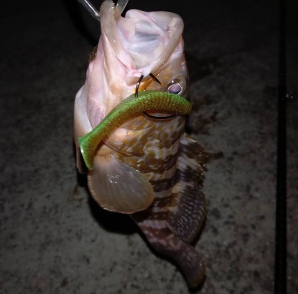 hideup 久次米良信 ブログ写真 2020/12/15