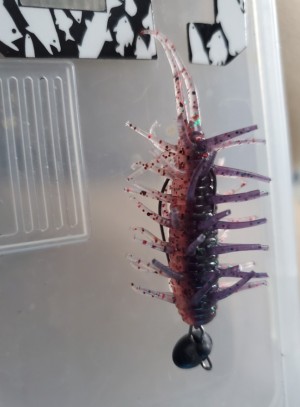 hideup 久次米良信 ブログ写真 2020/12/17