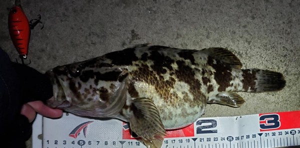 hideup 久次米良信 ブログ写真 2020/12/19