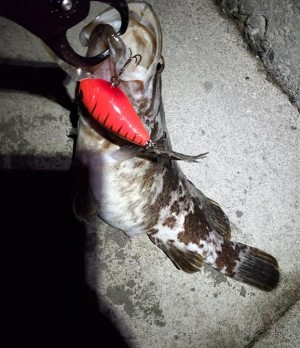 hideup 久次米良信 ブログ写真 2020/12/19