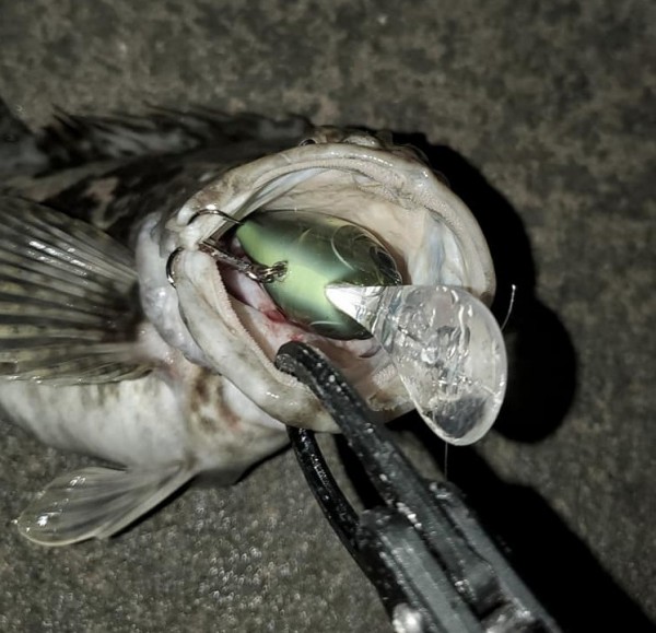 hideup 久次米良信 ブログ写真 2020/12/19