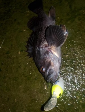 hideup 久次米良信 ブログ写真 2021/01/07