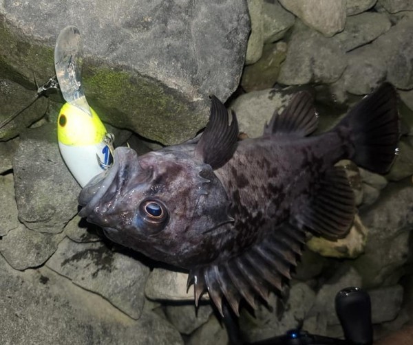 hideup 久次米良信 ブログ写真 2021/01/07