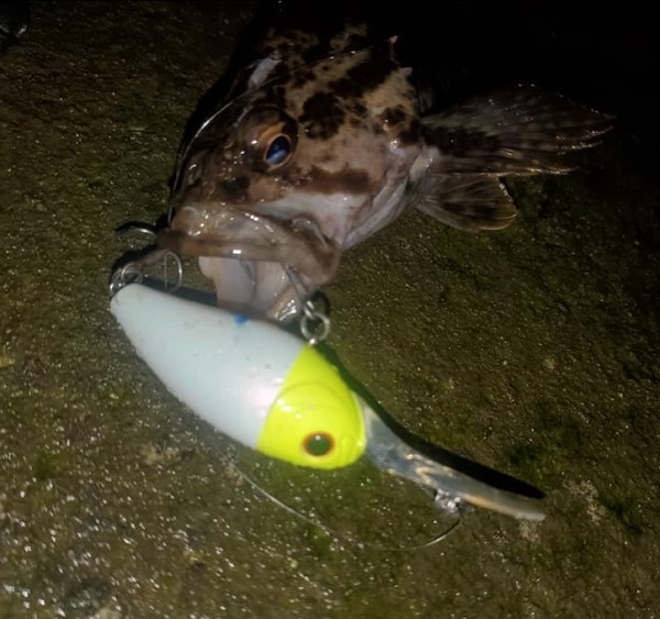 hideup 久次米良信 ブログ写真 2021/01/07