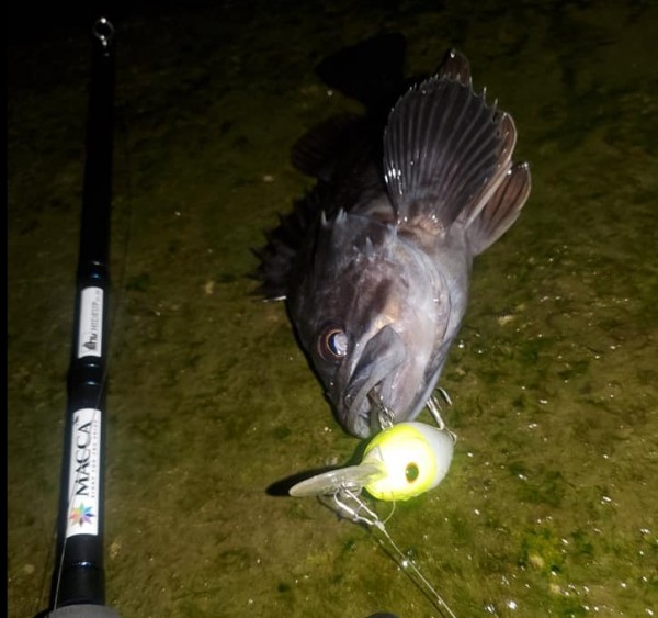 hideup 久次米良信 ブログ写真 2021/01/07