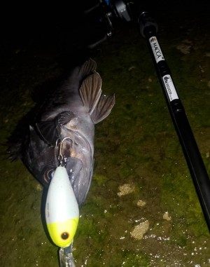 hideup 久次米良信 ブログ写真 2021/01/07