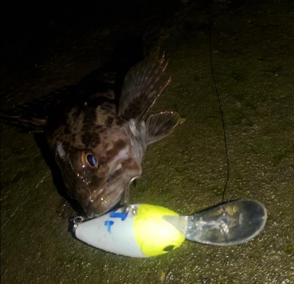 hideup 久次米良信 ブログ写真 2021/01/07