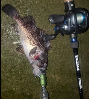 hideup 久次米良信 ブログ写真 2021/01/13