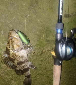 hideup 久次米良信 ブログ写真 2021/01/13