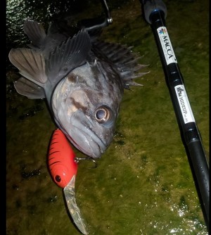 hideup 久次米良信 ブログ写真 2021/01/13