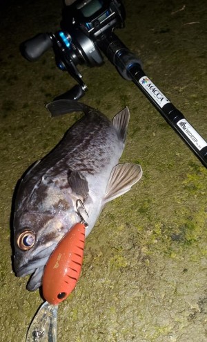 hideup 久次米良信 ブログ写真 2021/01/13