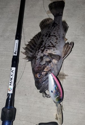 hideup 久次米良信 ブログ写真 2021/01/14