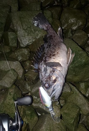 hideup 久次米良信 ブログ写真 2021/01/14