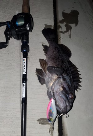 hideup 久次米良信 ブログ写真 2021/01/14