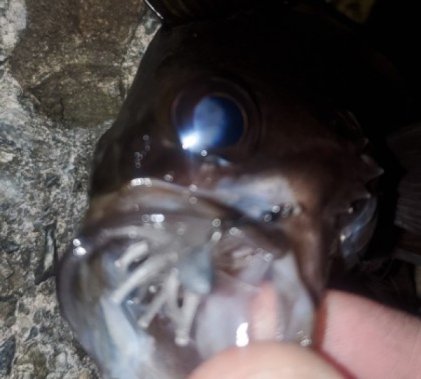 hideup 久次米良信 ブログ写真 2021/03/11