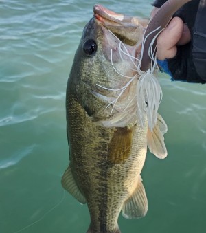 hideup 久次米良信 ブログ写真 2021/03/15