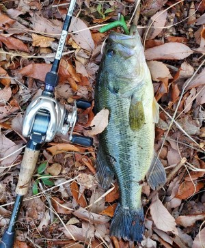 hideup 久次米良信 ブログ写真 2021/03/16