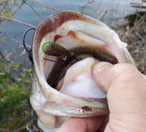 hideup 久次米良信 ブログ写真 2021/03/16