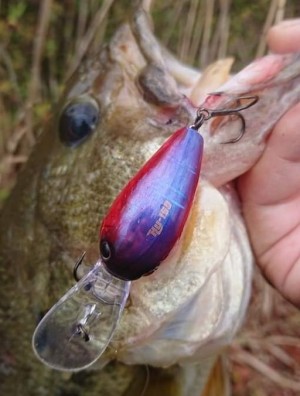 hideup 久次米良信 ブログ写真 2021/04/02