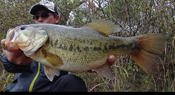 hideup 久次米良信 ブログ写真 2021/04/02