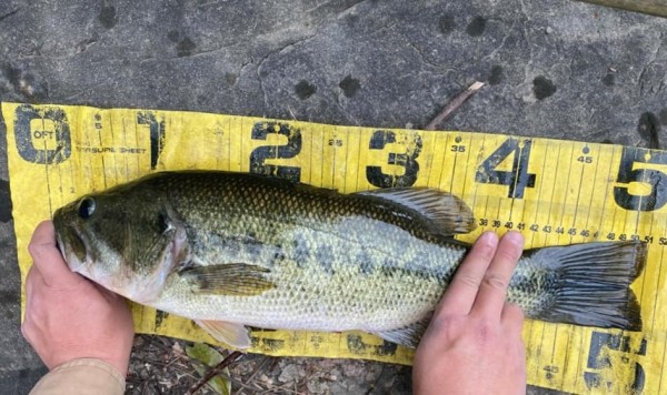 hideup 久次米良信 ブログ写真 2021/04/05