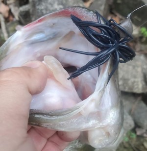 hideup 久次米良信 ブログ写真 2021/04/06